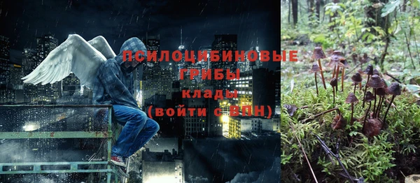 ALPHA PVP Горно-Алтайск