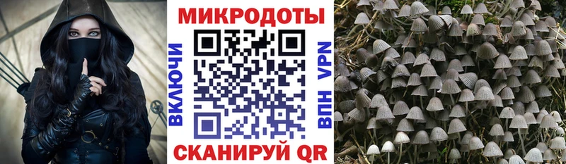 цены наркотик  Меленки  kraken зеркало  Галлюциногенные грибы мицелий 